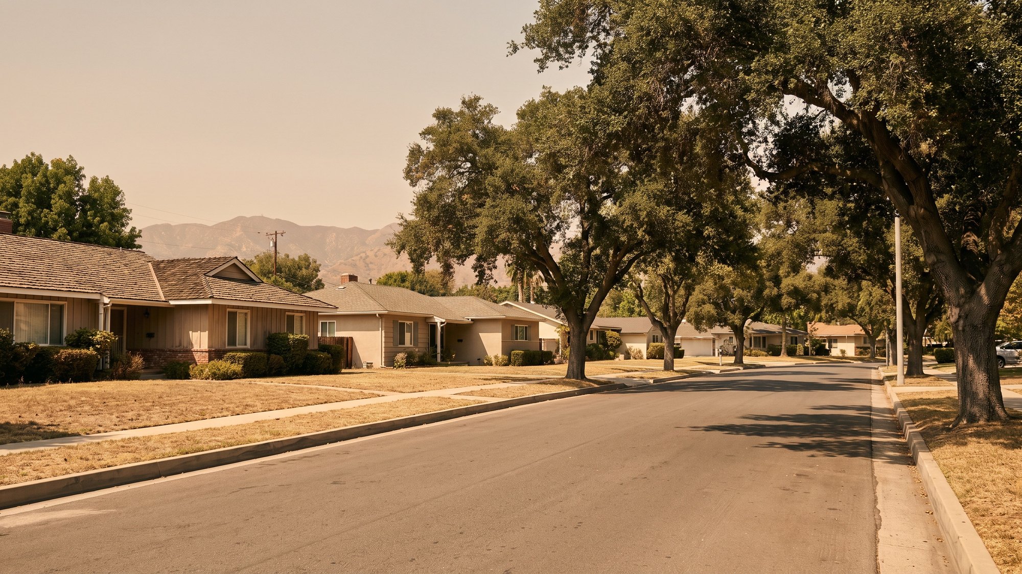 Postwar Encino ranch houses with low-pitched shingle roofs under coast live oaks